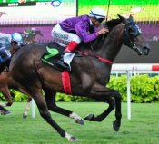 A'Isisuhairi (Harry) Kasim guides Over Easy to victory on July 7.<br>Photo by Singapore Turf Club